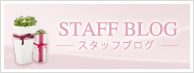 【STAFF BLOG】スタッフブログ